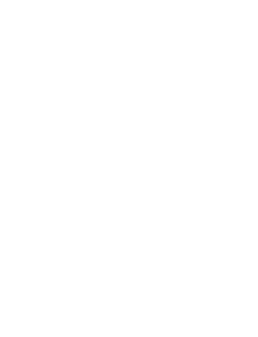 Roar S.r.l.s.